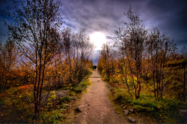 autumn_pathway